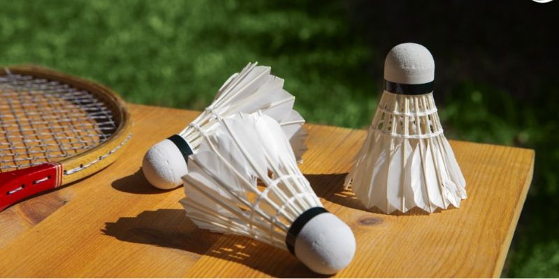 Cá cược cầu lông