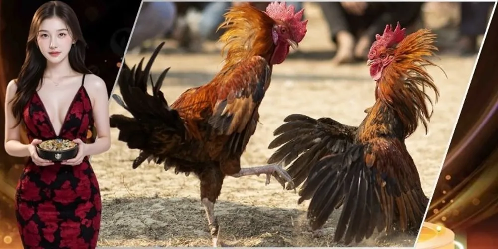 Đá gà GA28 tại VNLoto | Cược hay, thắng lớn, hốt ngay thưởng nóng 3 Đá Gà GA28